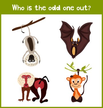 Children colorful educational cartoon game puzzle page for children's books and magazines on the theme get extra insectivorous animal among the lovely tropical baboons and macaques . Vector