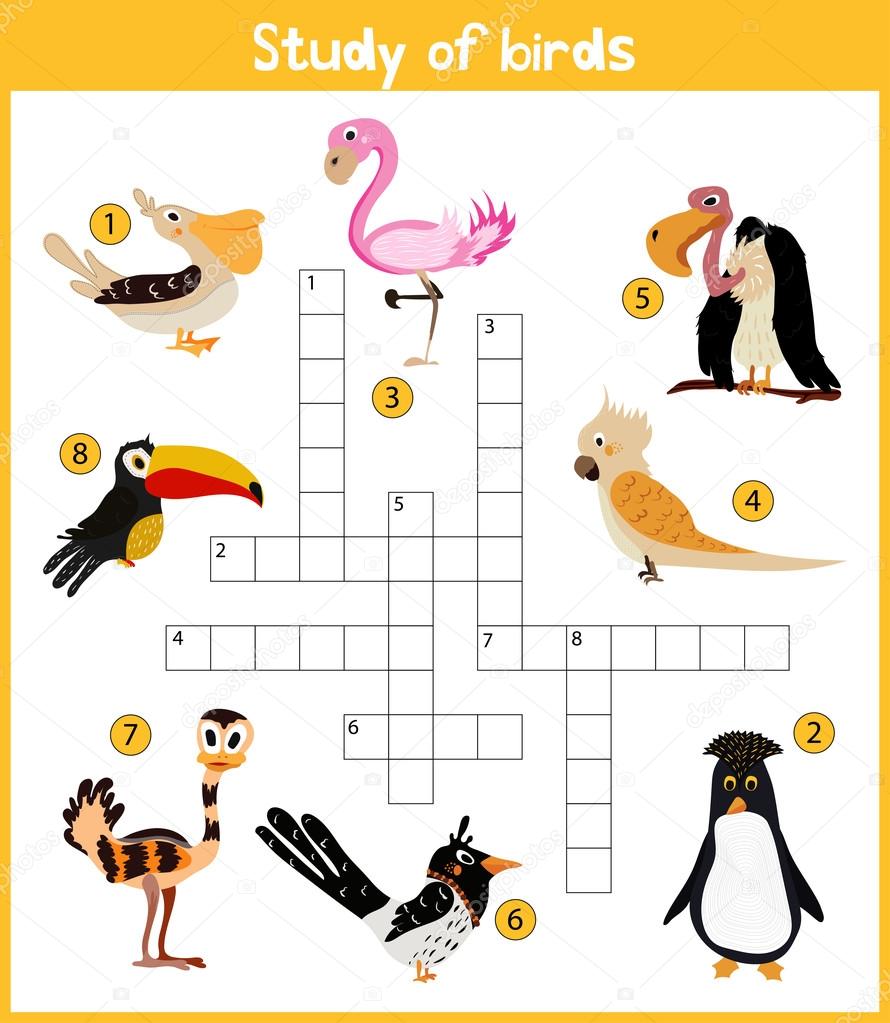 A colorful children's cartoon crossword, education game for children on the theme of exploring different species of birds from around the world including the ostrich and the pink Flamingo. Vector