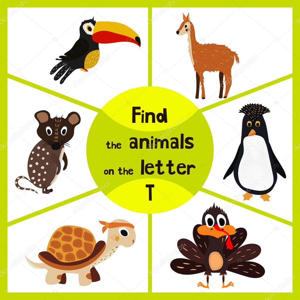 Funny learning maze game, find all 3 cute wild animals with the letter T, tropical Toucan from South America, sea turtle and poultry the Turkey. Educational page for children. Vector Stock Vector Funny learning maze game, find all 3 cute wild animals with the letter T, tropical Toucan from South America, sea turtle and poultry the Turkey. Educational page for children. Vector Stock Vector