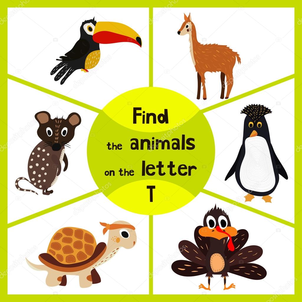 Funny learning maze game, find all 3 cute wild animals with the letter T, tropical Toucan from South America, sea turtle and poultry the Turkey. Educational page for children. Vector