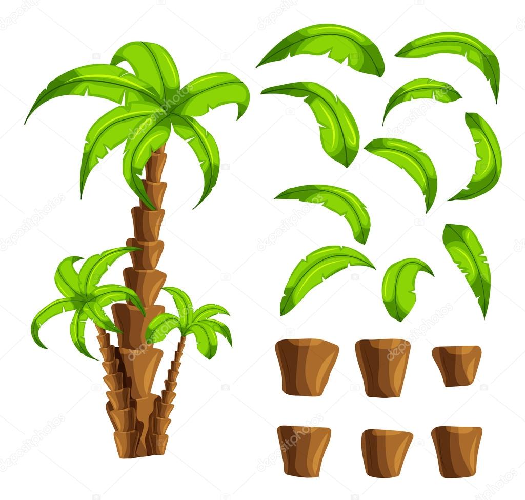 Cartoon elements the palm trees on a white background. Set of isolated objects of a tropical tree trunk and green leaves set the forest songs funny cartoon for filling game interface backgrounds