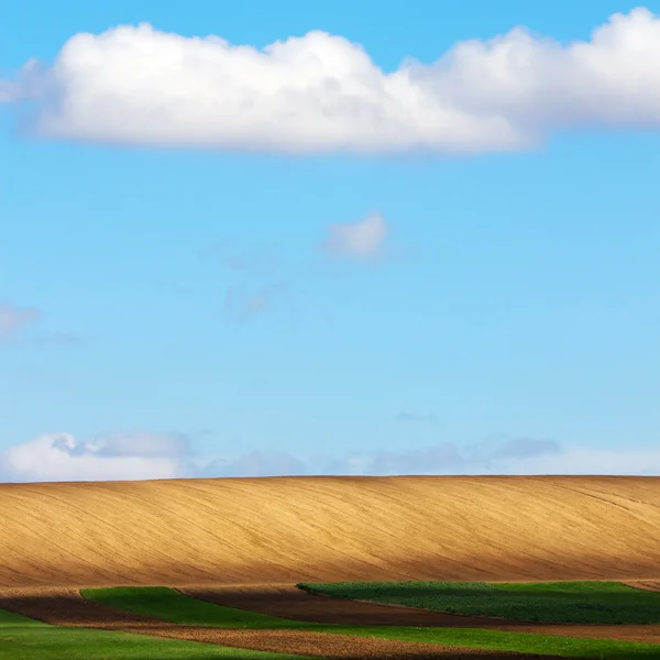 Jordbruksmark med blå himmel — Stockfoto