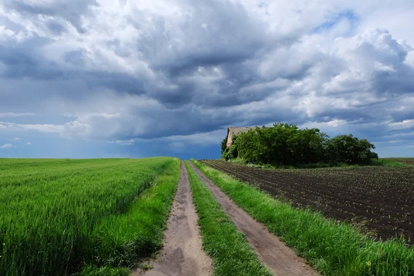 Gröna landskapet med gamla övergivna hus och stormig himmel — Stockfoto