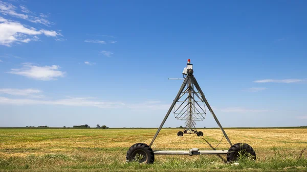 Impianto di irrigazione a sprinkler in campo agricolo — Foto Stock