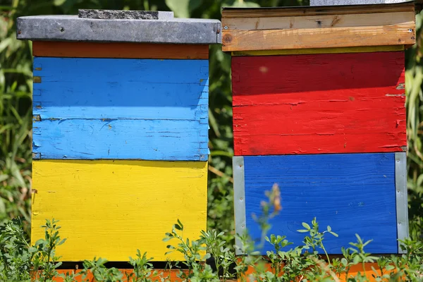 Due colorati alveari in legno — Foto Stock