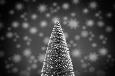 Yıldızlı gece arkaplanlı karlı Noel ağacı, siyah ve beyaz