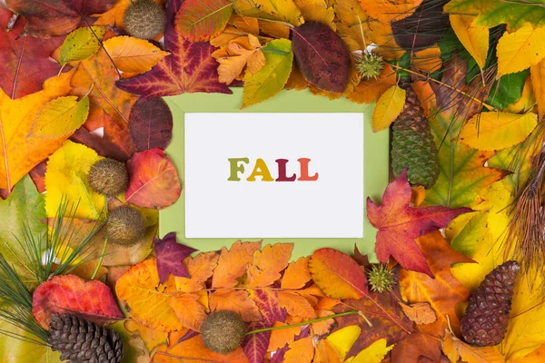 Autumn Scene Background Colorful Leaves Minimal Nature Seasonal Concept — Stock Photo, Image
