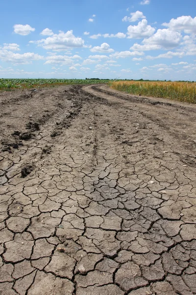 Dry soil — Stock Photo, Image