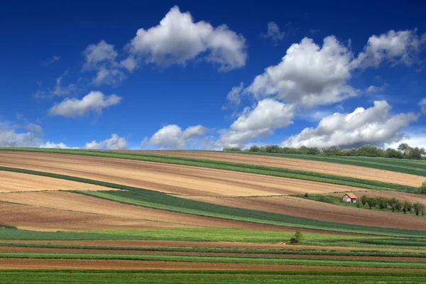 Terras agrícolas — Fotografia de Stock