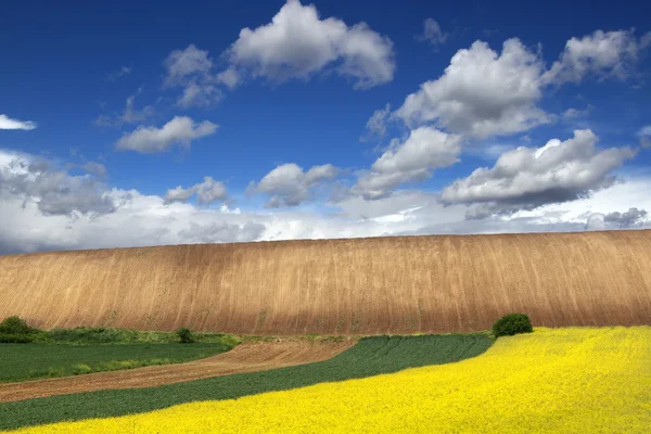 Terreno agrícola — Foto de Stock