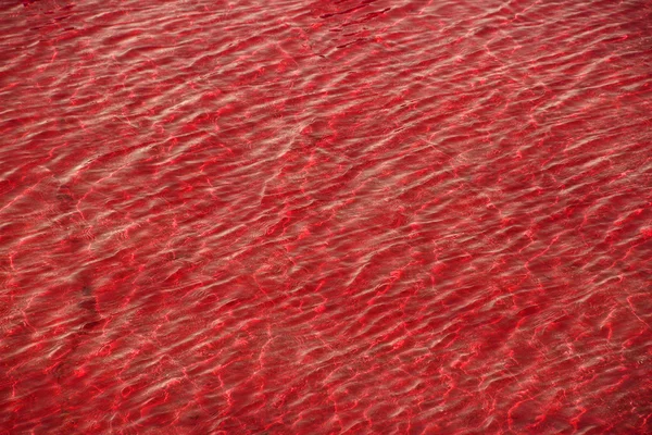 Piros vízfelület — Stock Fotó