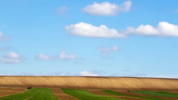 Terreno agrícola — Foto de Stock