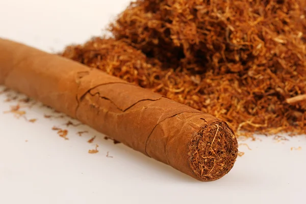 Кубинская сигара с кучей табака — стоковое фото