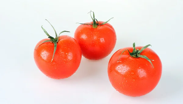 Pomodori freschi — Foto Stock