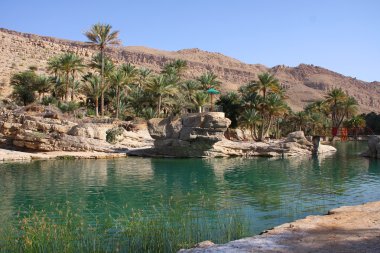 Tatlı su Oasis