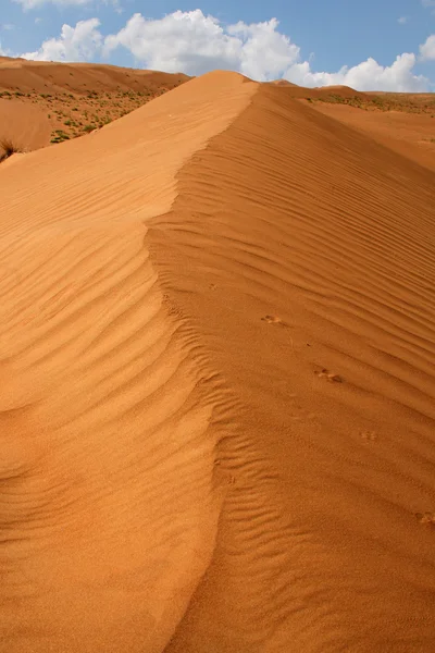 Umman 'daki Wahiba Çölü