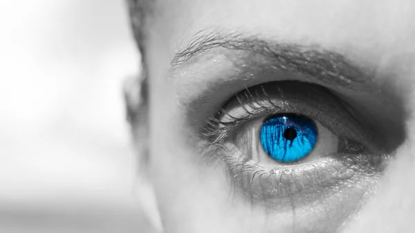 Jedno oko niebieskie — Zdjęcie stockowe