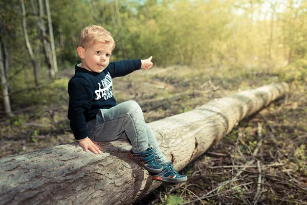 태양을 가리키는 다진된 나무에 앉아 어린 소년 — 스톡 사진