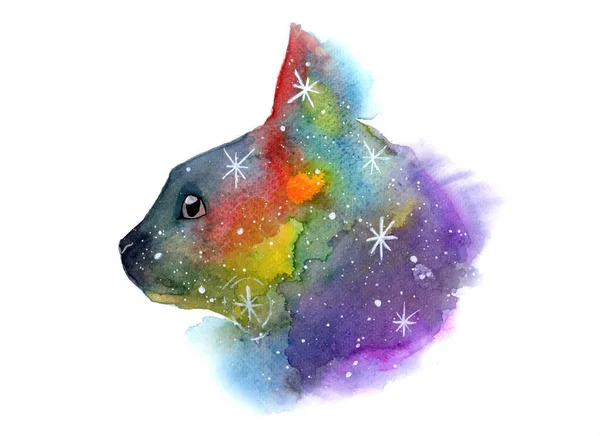 Utrymme Silhuett Fluffig Katt Med Stjärnor — Stockfoto