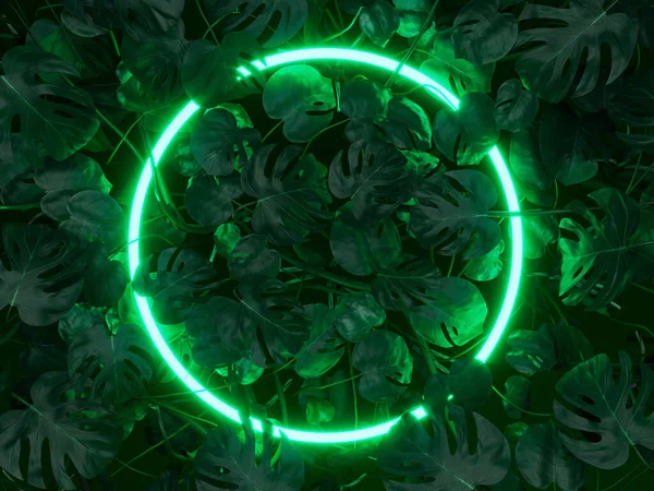 Green glowing neon circle or ring in Adam\'s rib plant foliage. Mock up concept background 3D Rendering