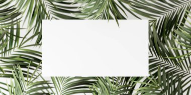 Beyaz yapraklı yeşil palmiye yaprakları ortada boşluk oluşturur. Soyut yaz arkaplanı 3D Yapılandırma, 3B İllüstrasyon