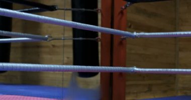 Boksör ringde eğitim