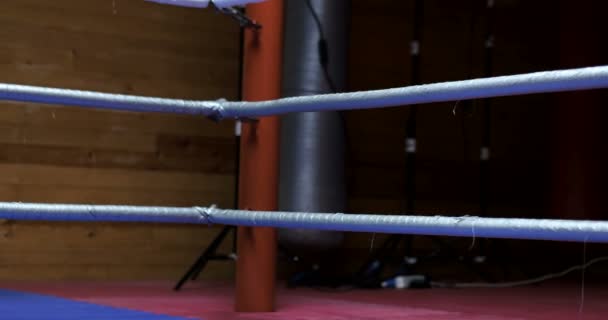 Boxtraining im Ring — Stockvideo