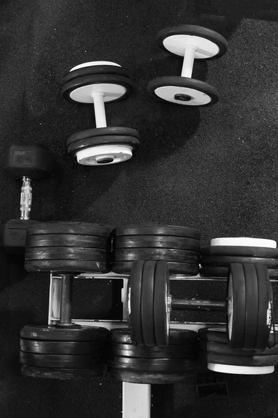 Sports dumbbells in sports club. Weight Training Equipment