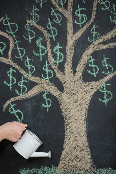Dollar boom geschilderd op schoolbord groeien uit het hoofd — Stockfoto