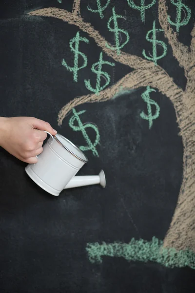 Dollar boom geschilderd op schoolbord groeien uit het hoofd — Stockfoto
