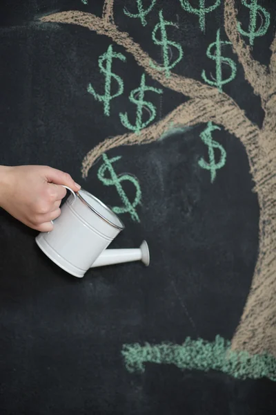 Árbol de dólar pintado en pizarra que crece de la cabeza — Foto de Stock