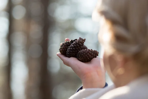 Conos de pino en mano de mujer —  Fotos de Stock