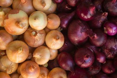 Tarımsal arka plan, güzel ampul soğan yığını