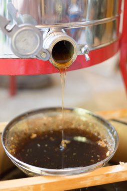 verme süreci tatlım