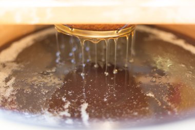 Peteğin kovan yapmaktan tatlım - tatlım ma yakın çekim