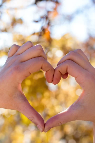 Mâinile pe fundalul naturii. forma inimii în ziua Îndrăgostiților — Fotografie, imagine de stoc
