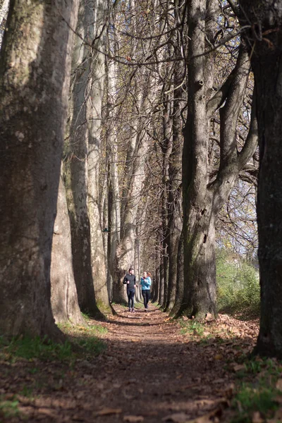 Trail szkolenie prowadzone maraton sportowca na zewnątrz para wschód słońca — Zdjęcie stockowe