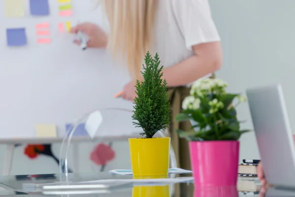 Mujer presentando sus ideas de negocio — Foto de Stock