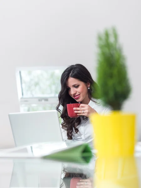 Mujer con taza por ordenador portátil — Foto de Stock
