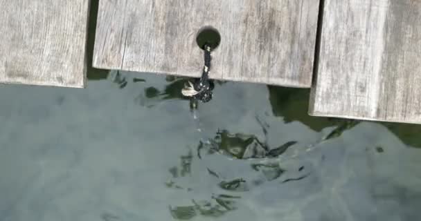 Molo sul lago in una giornata autunnale — Video Stock