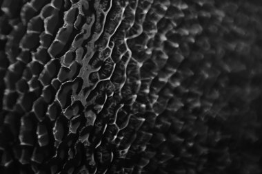 Makro soyut cam doku