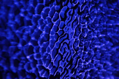 Cam doku arka ışıklı, makro soyut cam doku