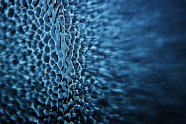 Makro soyut cam doku