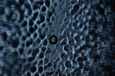 Makro soyut cam doku