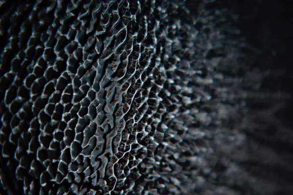 Macro de texture abstraite de verre — Photo