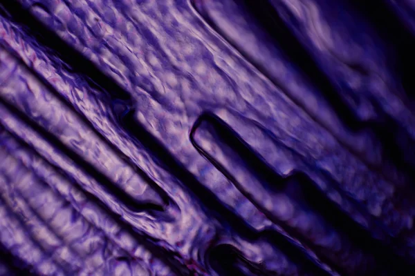 Surface en verre teinté violet flou — Photo