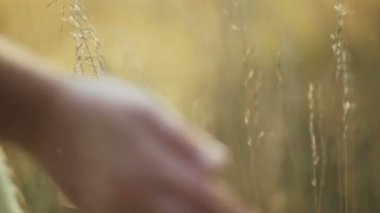 Günbatımı zaman, Altın ışık romantik görünümü