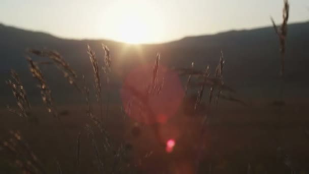 Romantisk utsikt vid solnedgång, gyllene ljus — Stockvideo