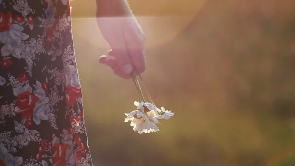 Ragazza con fiore in montagna, scenario romantico — Foto Stock