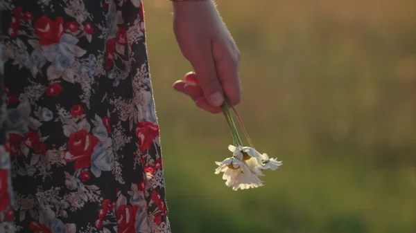 Romantyczny widok na zachód słońca — Zdjęcie stockowe